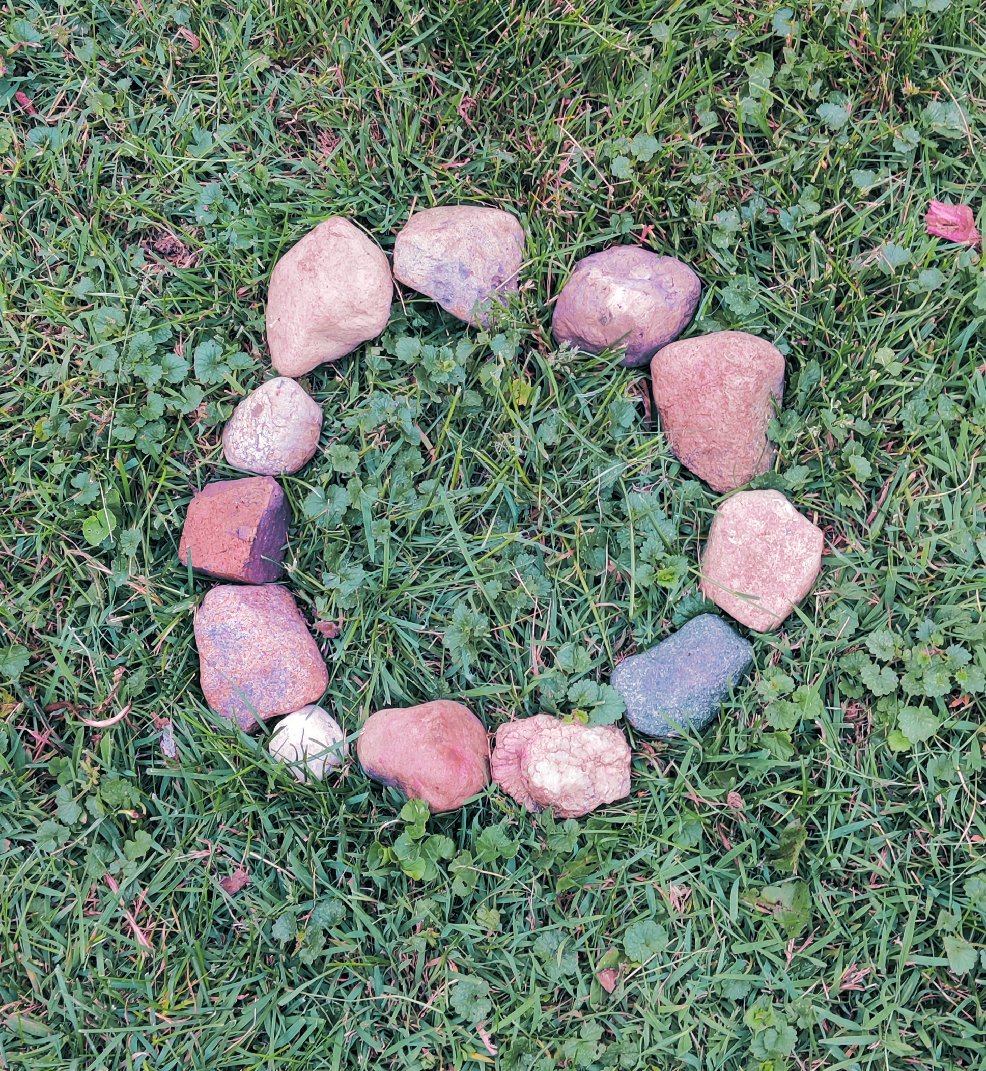 Why the Chosen Twelve?