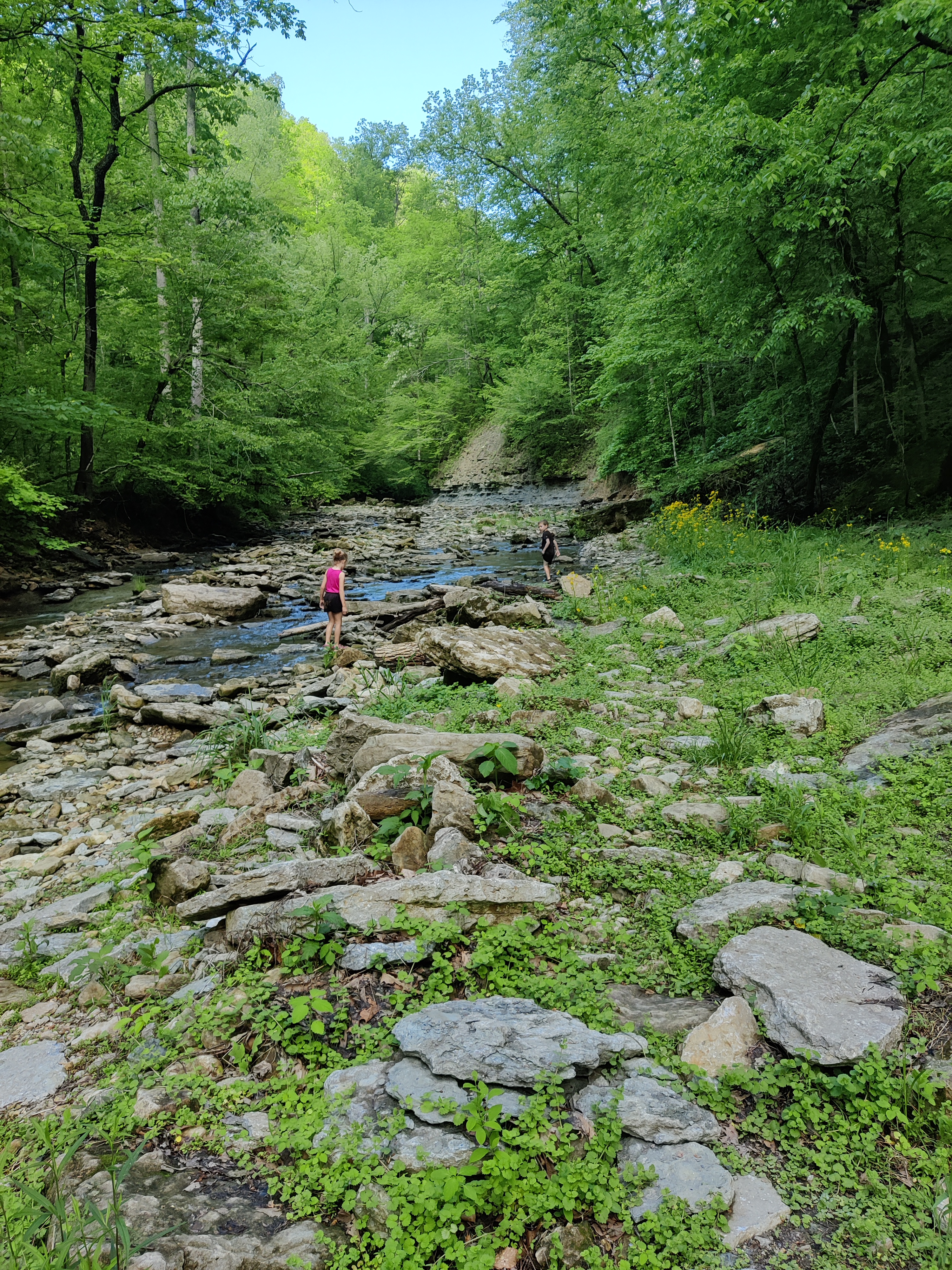 Perseverance in Camping and in Life